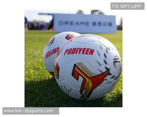 足球的魅力与激情探讨如何在绿茵场上实现梦想与团队精神